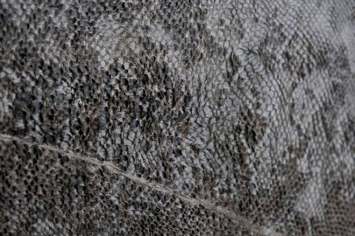Þorskleður image