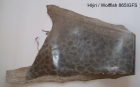 Hlýraleður 865IGFS image